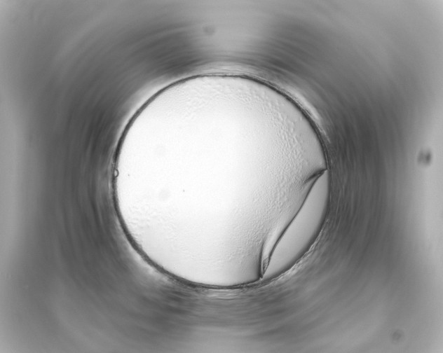 X0000093771484200711131200