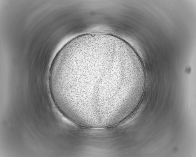 X0000093771486200711131200