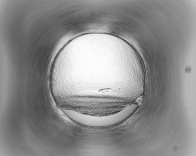 X0000093771488200711131200