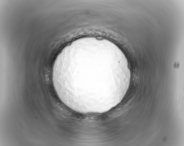 X0000093771490200711131159