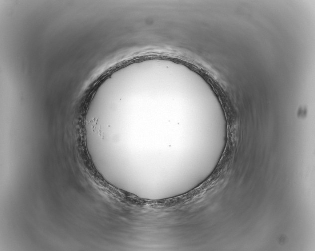 X0000093771496200711131159