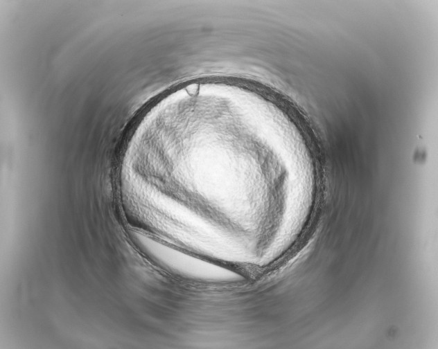 X0000093771497200711131159