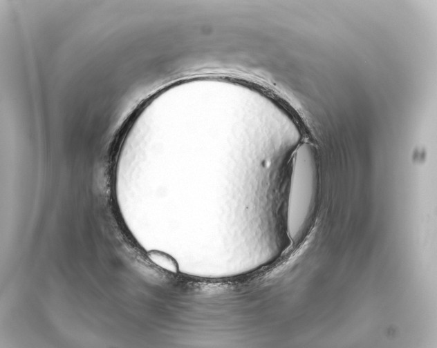 X0000093771501200711131159