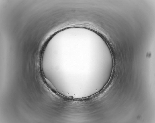 X0000093771506200711131200