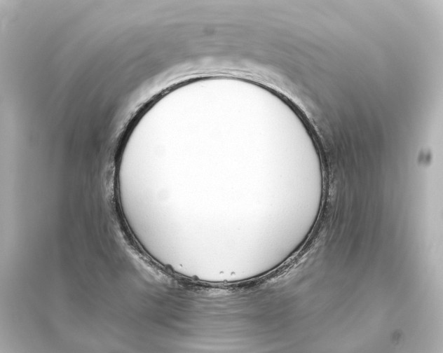 X0000093771507200711131200