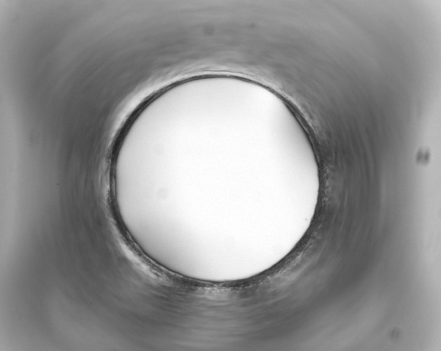 X0000093771511200711131200