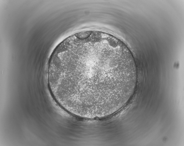 X0000093771522200711131200