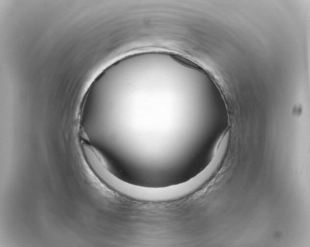 X0000093771524200711131200