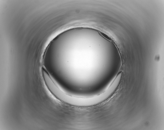 X0000093771528200711131200