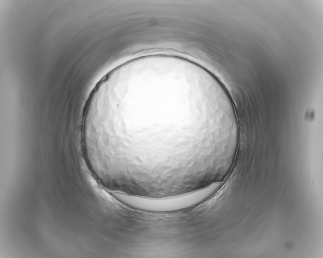 X0000093771534200711131200