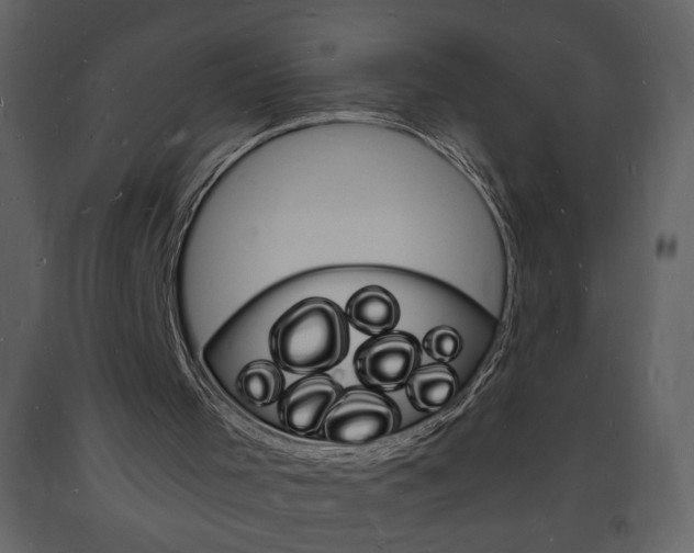 X0000094060001200710190944