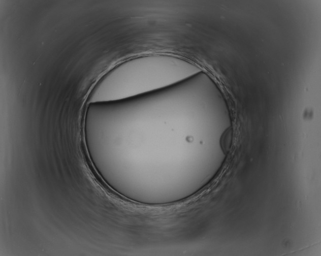 X0000094060002200710190944