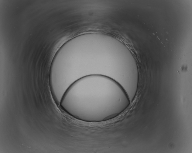 X0000094060003200710190943