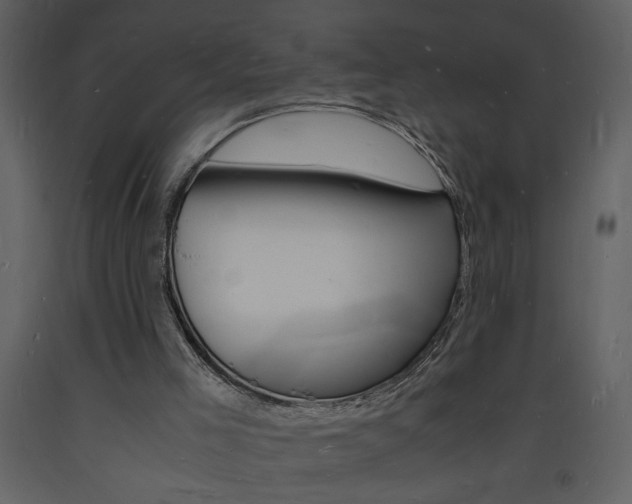 X0000094060005200710190943