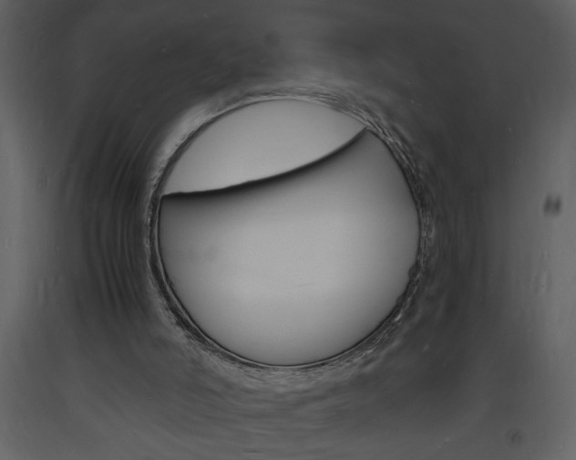 X0000094060006200710190943