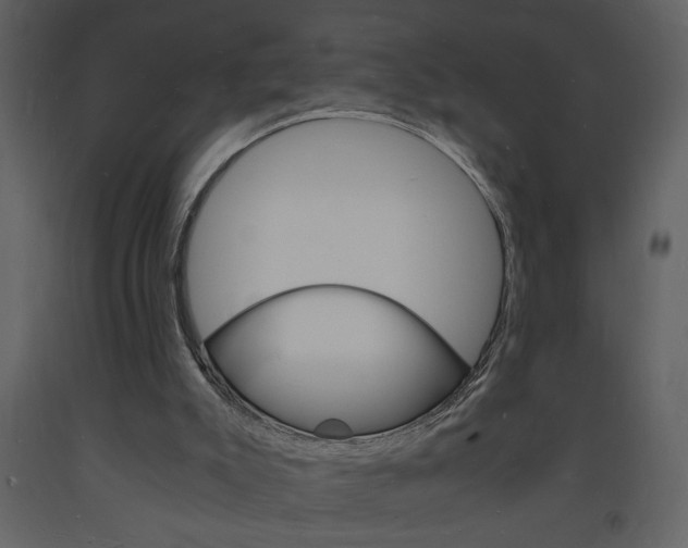 X0000094060007200710190943