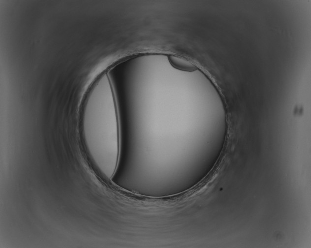 X0000094060008200710190943
