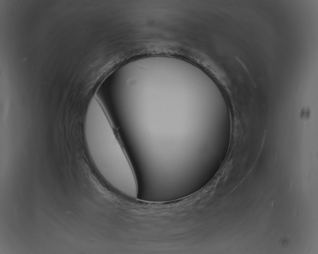 X0000094060009200710190943