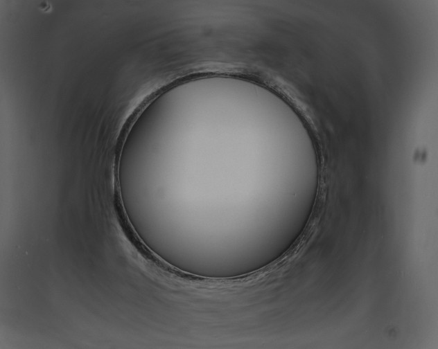 X0000094060011200710190943
