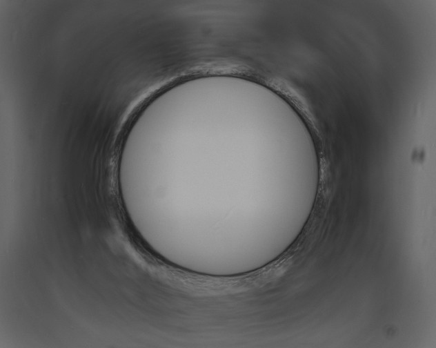 X0000094060012200710190943