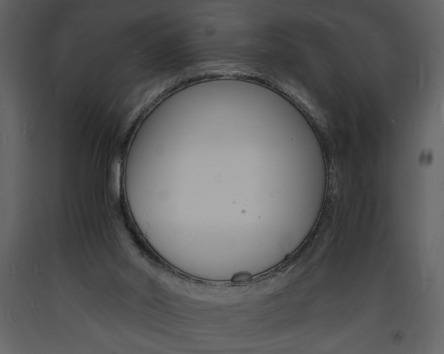 X0000094060014200710190943