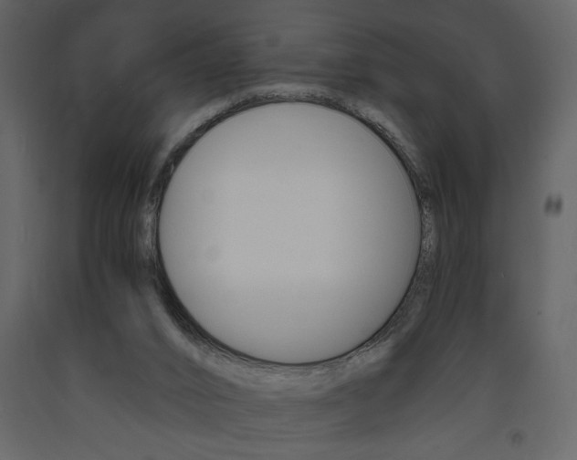 X0000094060016200710190943