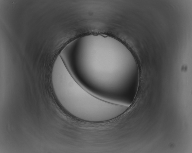 X0000094060017200710190943