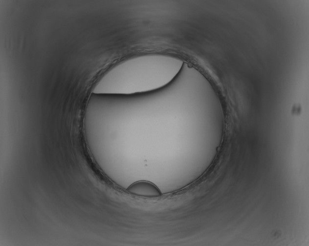 X0000094060018200710190943