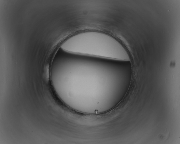 X0000094060020200710190943