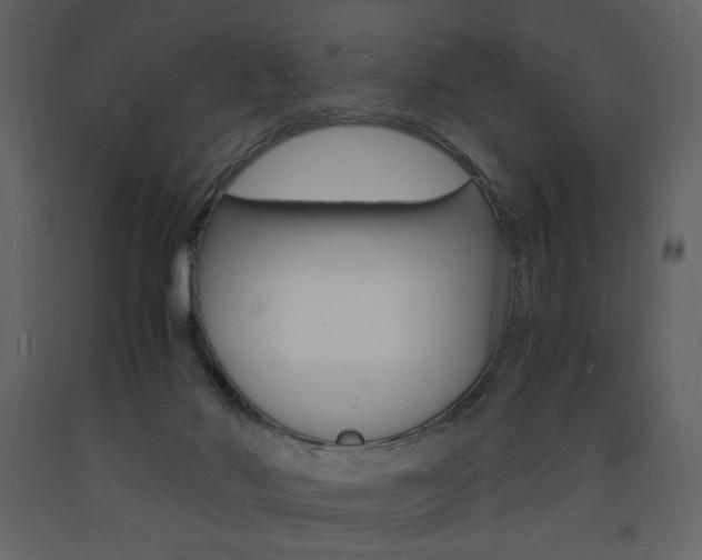 X0000094060022200710190943