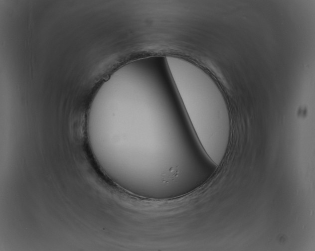 X0000094060023200710190943