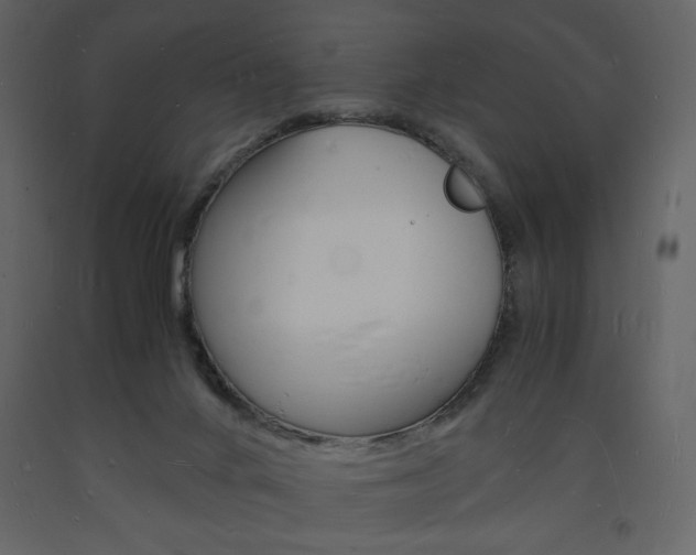 X0000094060024200710190943