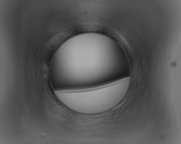 X0000094060025200710190943