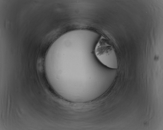 X0000094060026200710190943
