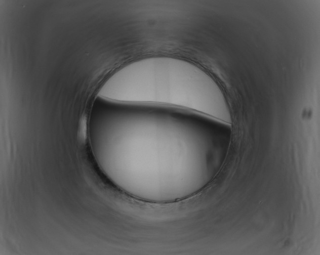 X0000094060027200710190943