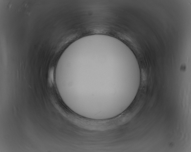 X0000094060028200710190943