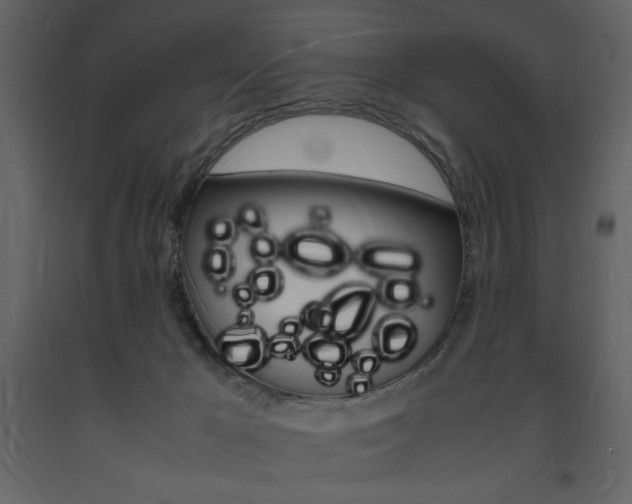 X0000094060029200710190943