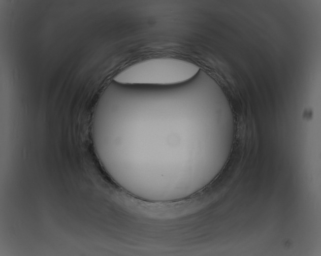 X0000094060030200710190943