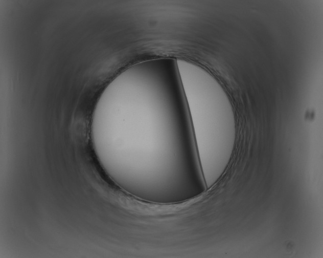 X0000094060031200710190943