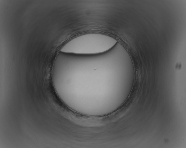 X0000094060032200710190943