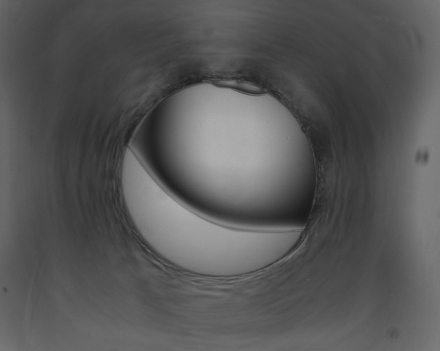 X0000094060033200710190943