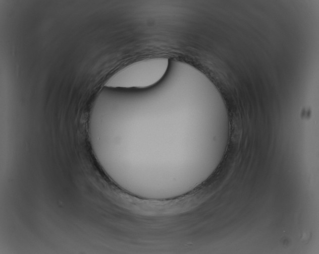 X0000094060034200710190943