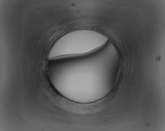 X0000094060035200710190943