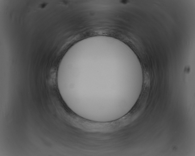 X0000094060036200710190943
