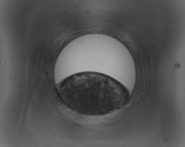 X0000094060037200710190943