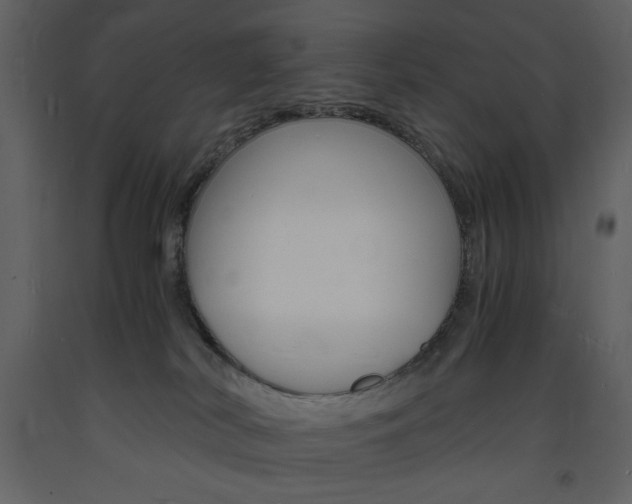 X0000094060038200710190943