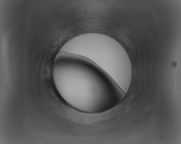 X0000094060039200710190943