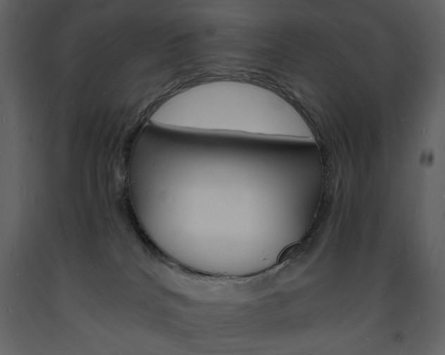 X0000094060040200710190943