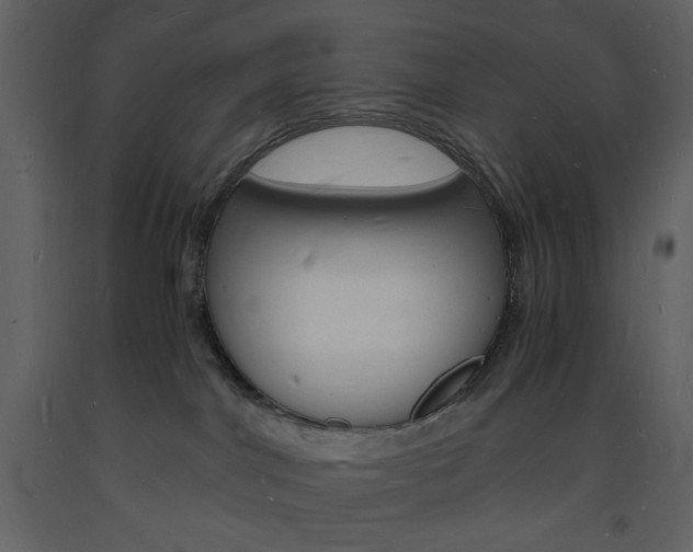 X0000094060044200710190943