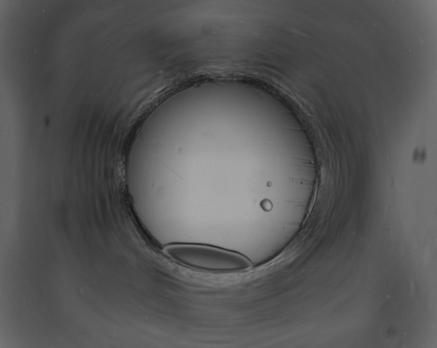 X0000094060048200710190943